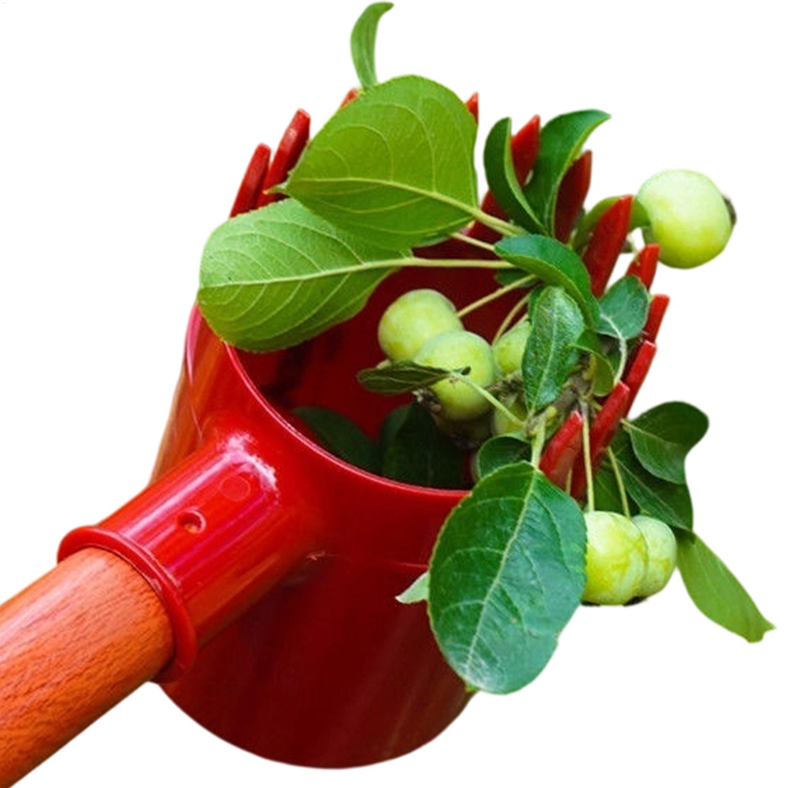 Farming Tools For Agriculture - Berry Picker Scoop Portable Fruit Harvesting