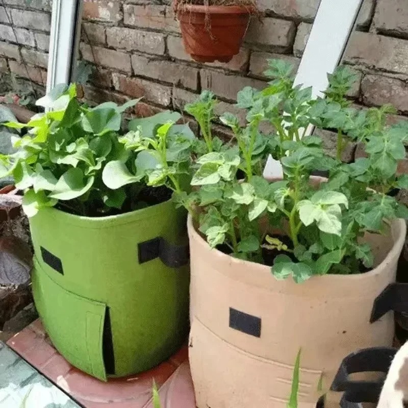 3Styles Felt plant grow bags n - Agriculture Vertical Farming 评论和价格