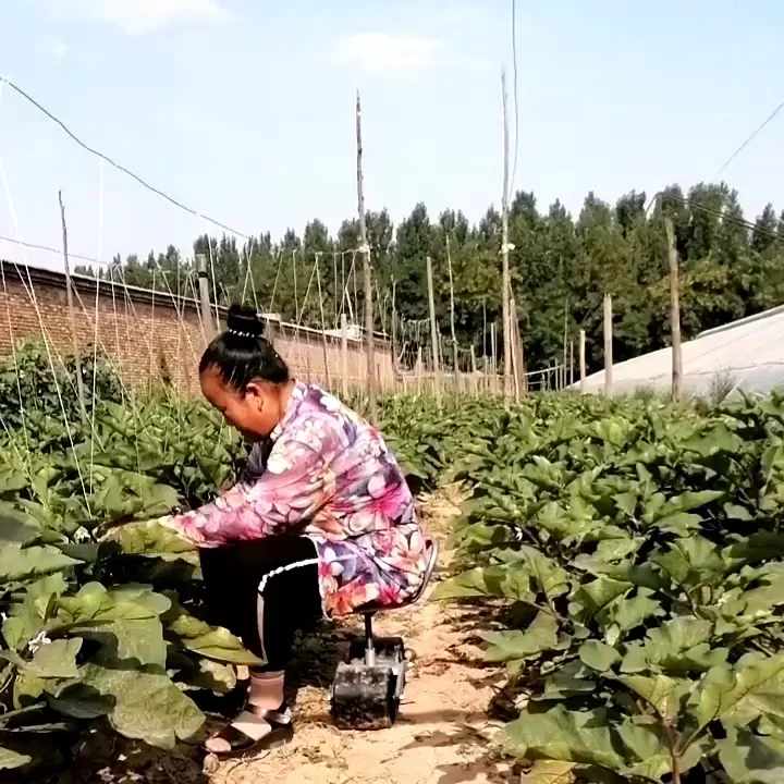 360 Degree Greenhouse Lazy Ben - Agriculture Farming Degree 评论和价格