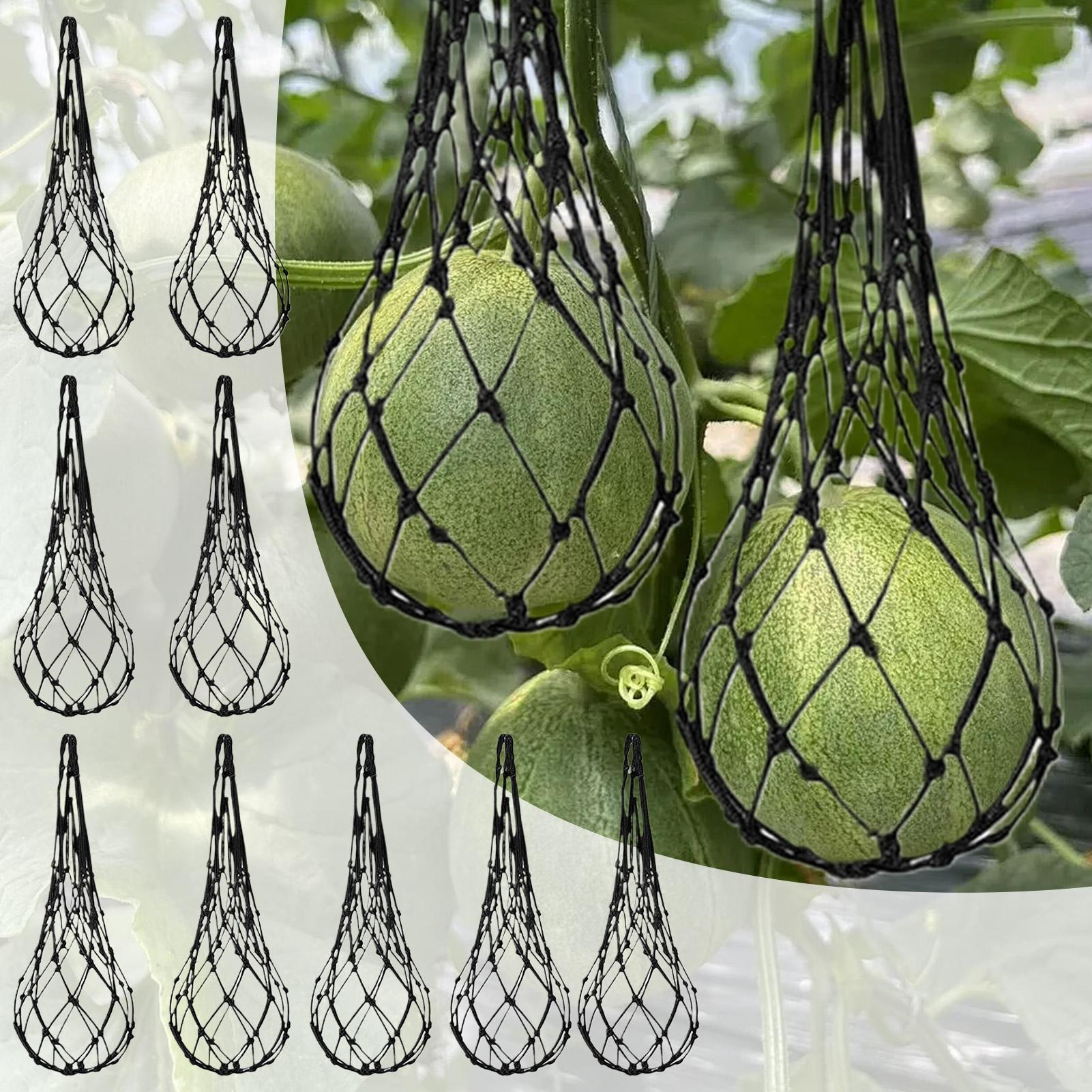 10pcs Watermelon Nets Garden V - Agriculture Vertical Farming 评论和价格
