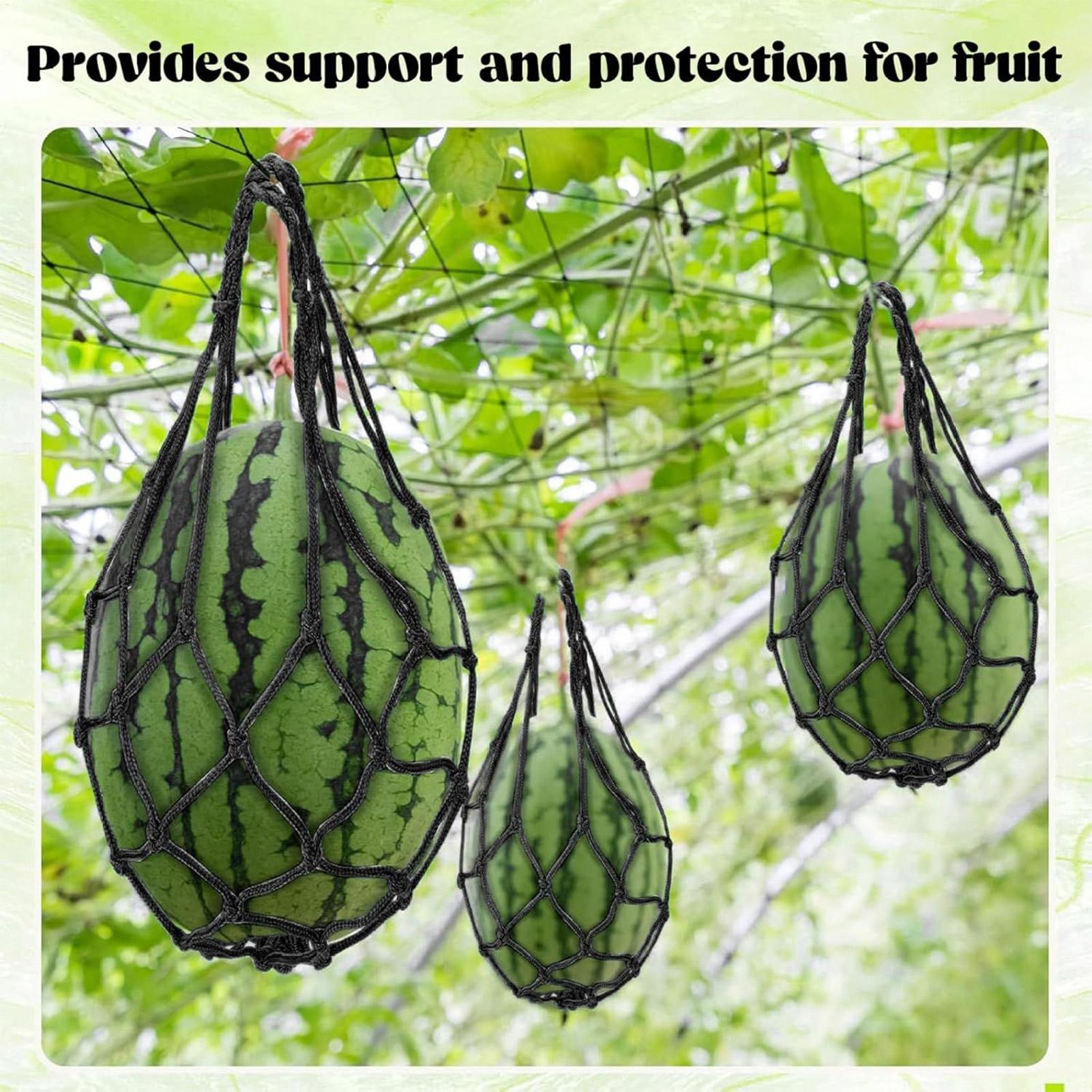10pcs Watermelon Nets Garden V - Agriculture Vertical Farming 评论和价格