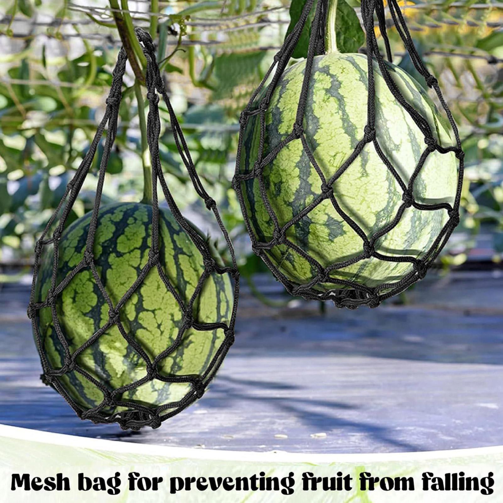 10pcs Watermelon Nets Garden V - Agriculture Vertical Farming 评论和价格