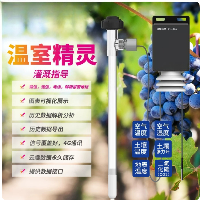 Smart Agricultural Tensiometer - Precision Farming Smart Agriculture 评论和价格