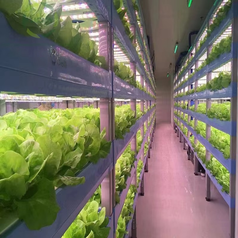Custom Agricultural Greenhouse - Agriculture Vertical Farming 评论和价格