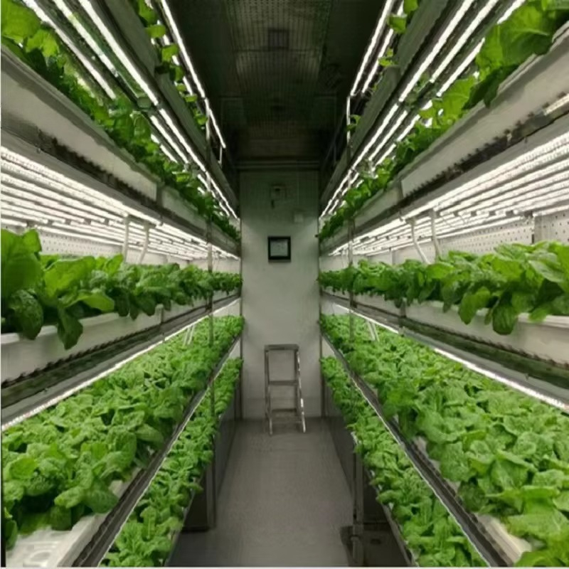 Custom Agricultural Greenhouse - Agriculture Vertical Farming 评论和价格