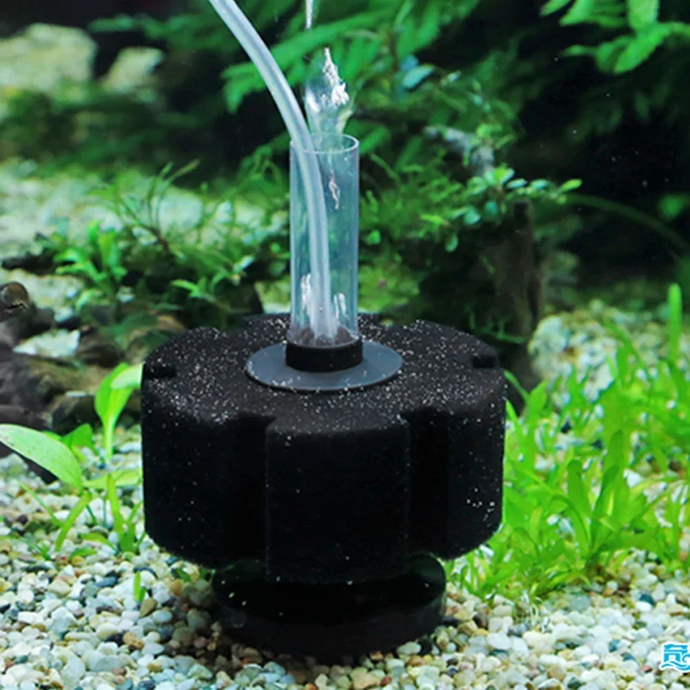 Aquarium Filter Sponge For Fis - Aquaculture Aerator Pump 评论和价格