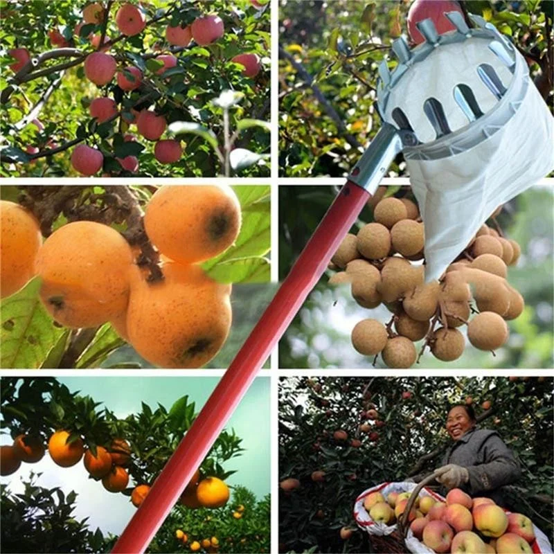 Farm Fruit Picker Garden Orcha - Farming Tools For Agriculture 评论和价格