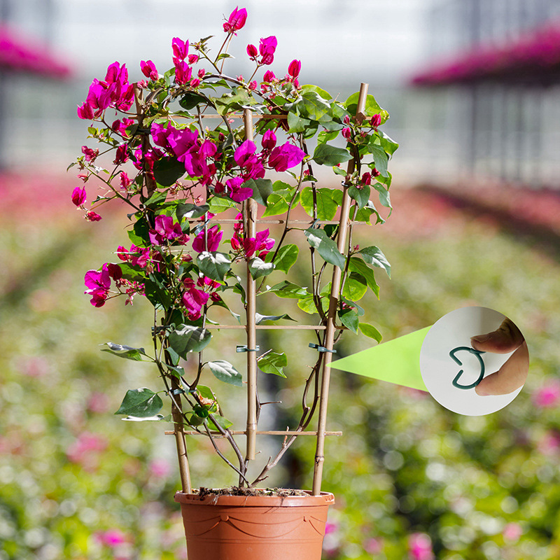 50/100pcs Garden Plant Clips V - Agriculture Vertical Farming 评论和价格
