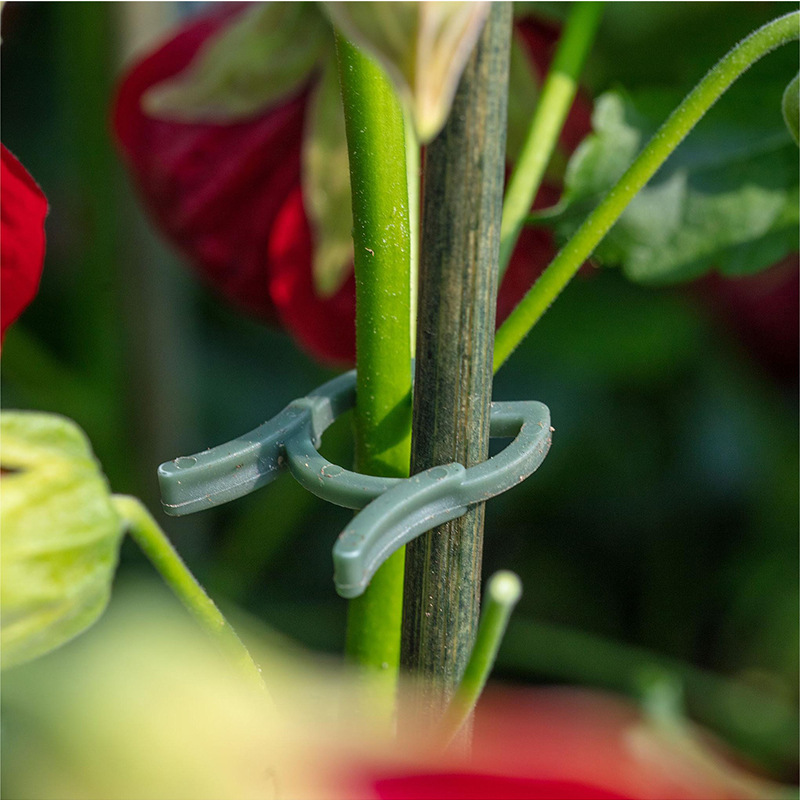 50/100pcs Garden Plant Clips V - Agriculture Vertical Farming 评论和价格