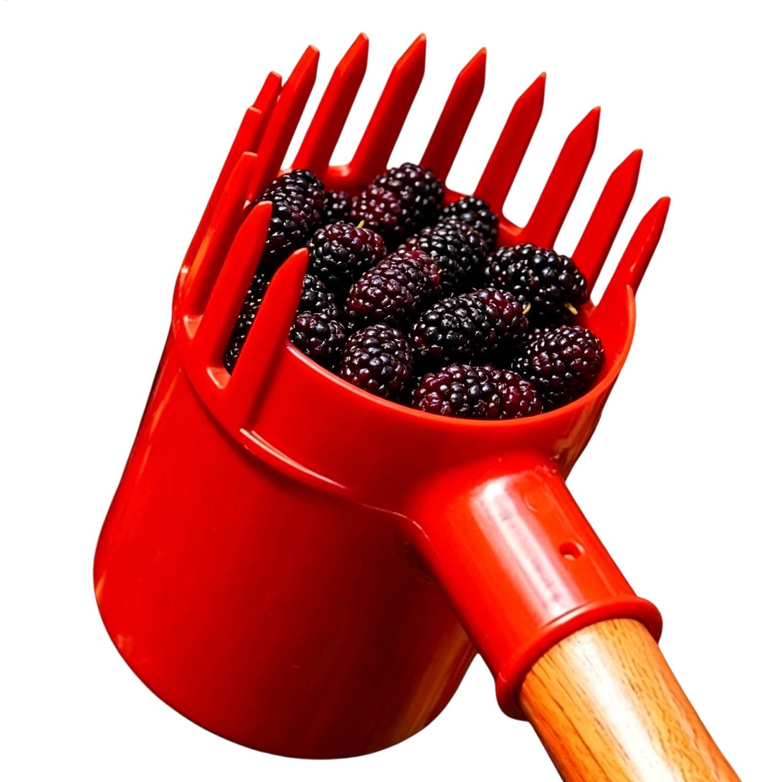 Berry Picker Scoop Portable Fr - Farming Tools For Agriculture 评论和价格